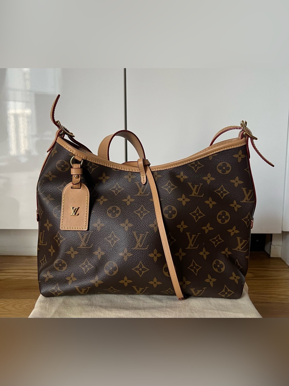 Louis Vuitton Monogram Canvas Hobo Shoulder Bag in Brown and Tan